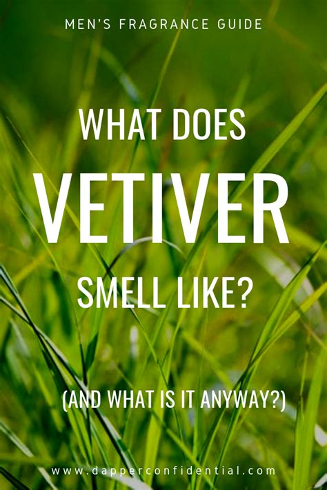 vetiver what does it smell like.